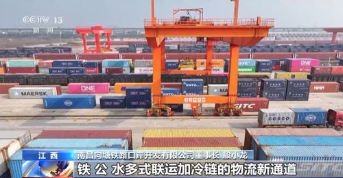 央視報(bào)道 冷鏈儲(chǔ)運(yùn) 熱 了 班列 冷鏈 新業(yè)態(tài)拓展新市場