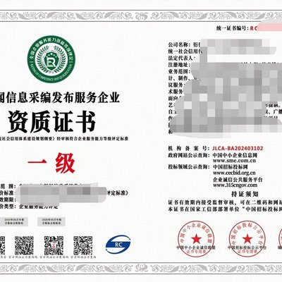 2024年互聯網新聞信息服務企業資質（一級）與信息技術咨詢服務 行業標準、價值與戰略協同